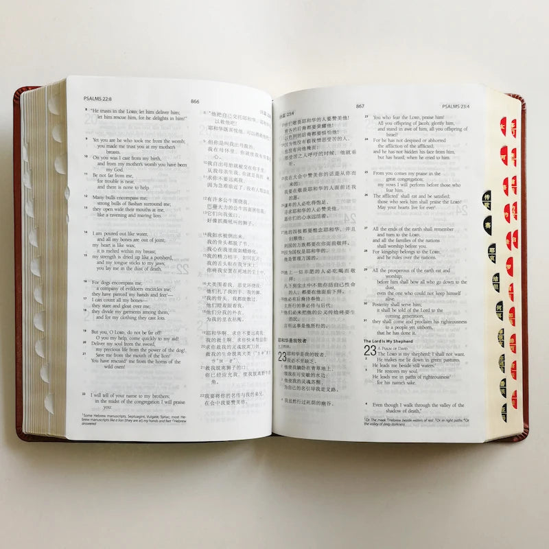 The Holy Bible Bilingual ( Chinese Union and English Standard Version)  Thumb Index Old & New Testament 32K