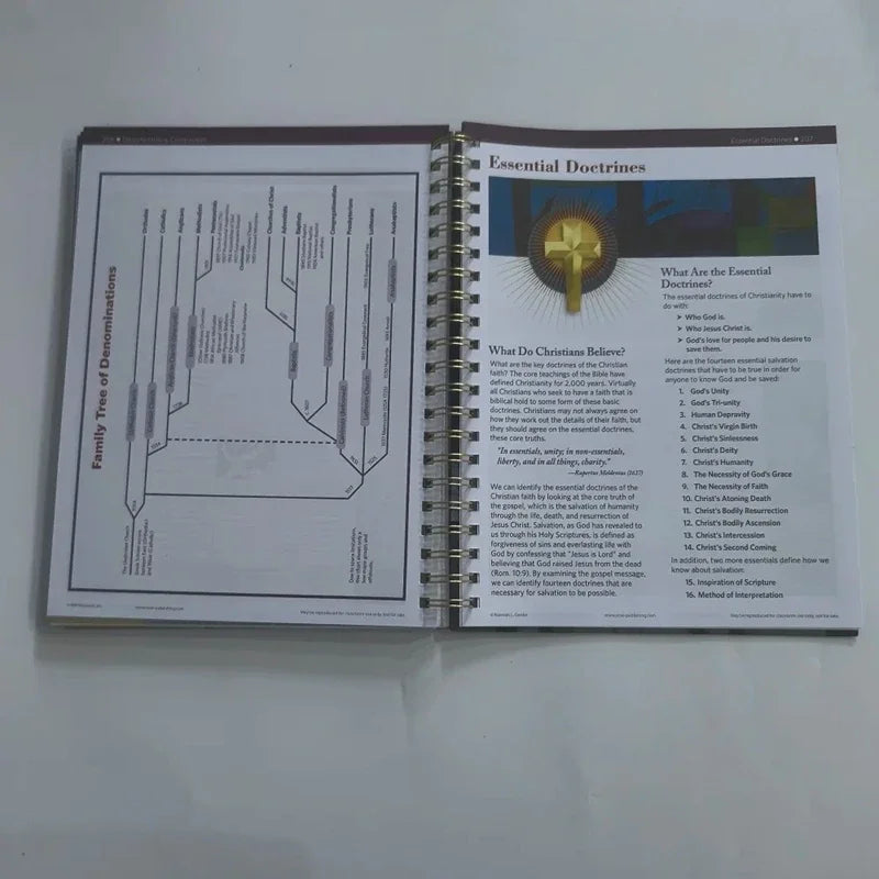 Bible Charts,Maps & Time Lines 10th Anniversary Edition Pilgrimage Travel Bible Study English Guide Book