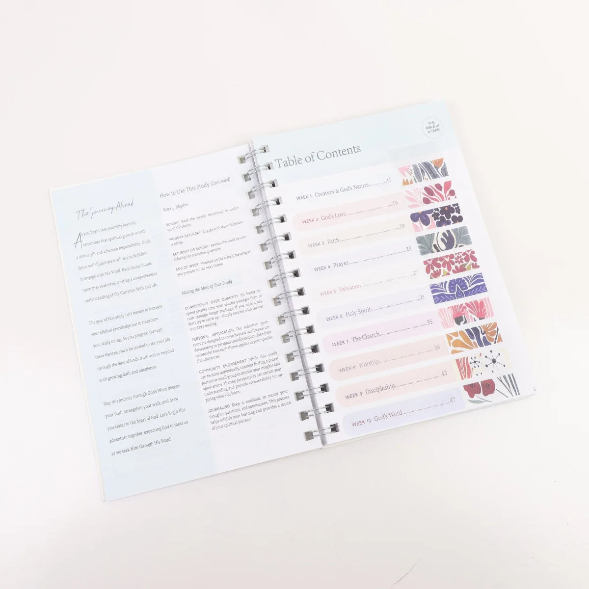 2026 New Bible in A Year: A 52-Week Study Through God's Word - Spiral Bible Study Plan